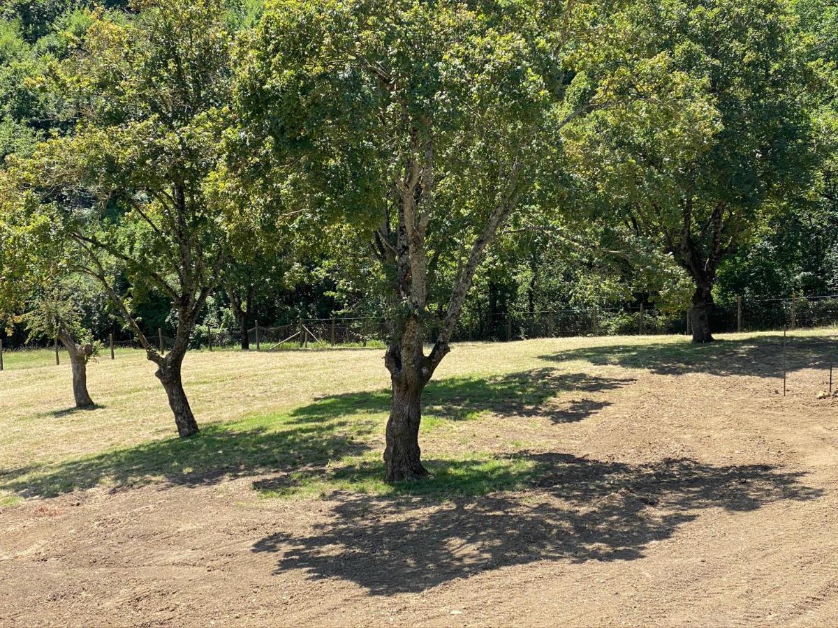 سكاربيرا Podere Badia Valdrago Agriturismo Mugello Circuit المظهر الخارجي الصورة